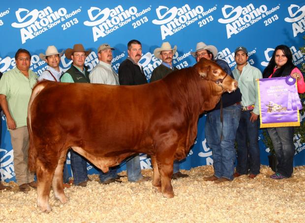 Sire - 2013 National Champion LMC Gold Medal - AS GOOD AS GETS !! 15 DAUGHTERS SELL !!!!