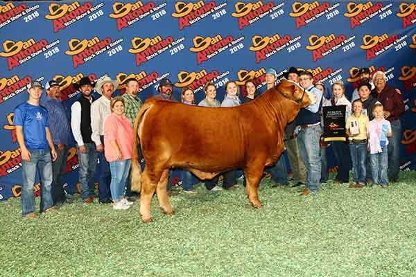 Many times champion daughter owned by Luke Fuchs family