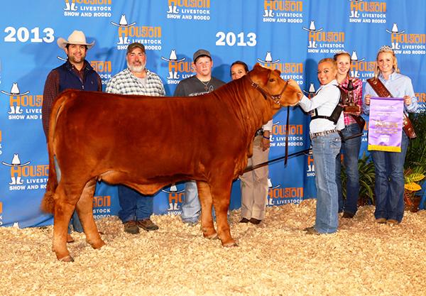 SIRE - +V8 279/7 (P) - has sold several high dollar polled cattle for us