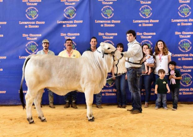 Miss Double A 59/1 Reserve Calf Champion at RGVLS 2017