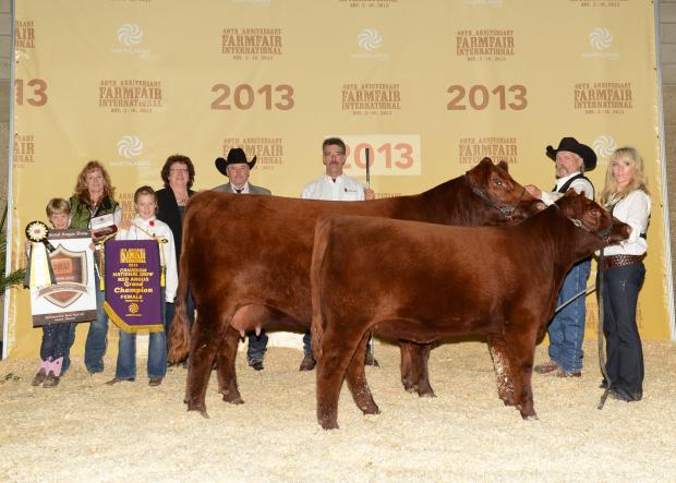 2013 Canadian National Champion Female, calf sired by Fat Tony