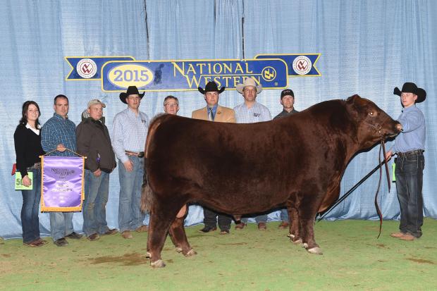 Kill Switch - Champion Bull NWSS