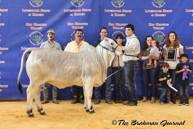 Miss Double A 56/1 Grand Champion Female at RGVLS 2017