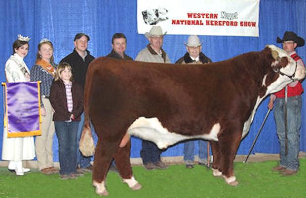 C Chandler 0100 - Sire of Lot 9