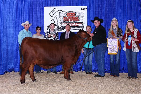 Full Sister - Res National Calf Champion