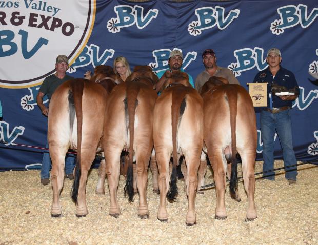 Champion Get of Sire - 2015 Brazos Valley Fair National Brahmna Show