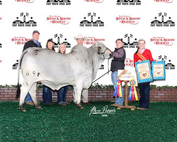 Paternal Sister - Champion Heifer at the FW Stock Show