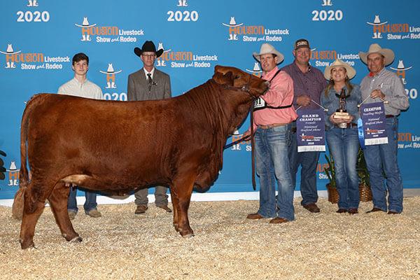Dam of PAY PER VIEW 2020 UBB Show Heifer of the Year