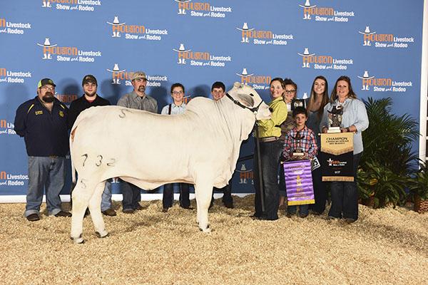 Grand Champion Jr Heifer 2017 HLSR - Maternal Sister to Lot 1