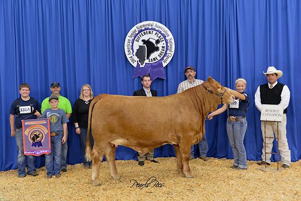 Many times champion LMC Rhino daughter owned by Amelia Stavinoha