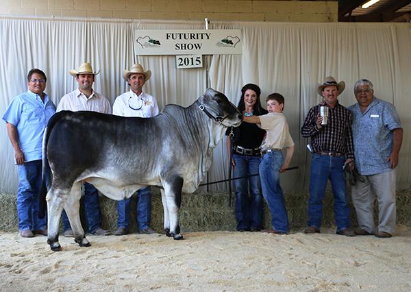 Champion Ambassador daughter - LMC Polled Passion owned by Dawson Raub