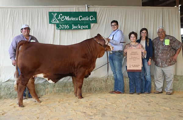 Champion paternal sister owned by Matthew Salinas