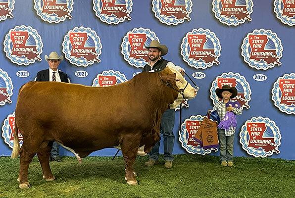 Sire of the calf. 2020 UBB Show Bull of the Year 