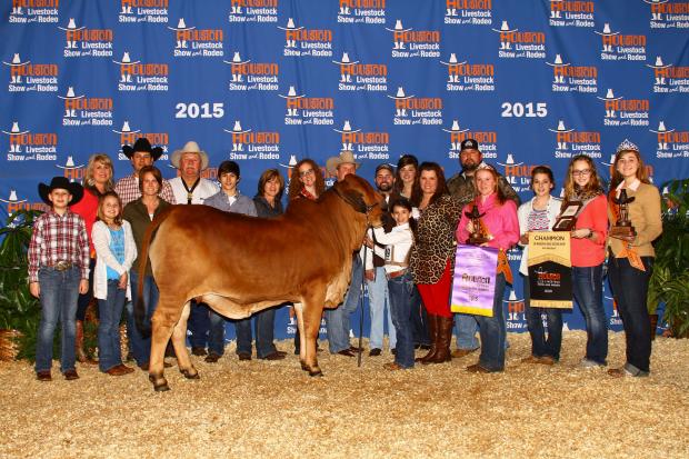 Daughter: VL Elena 4/28 2015 Grand Champion Red Brahman Female at the Houston Livestock Show Junior Show