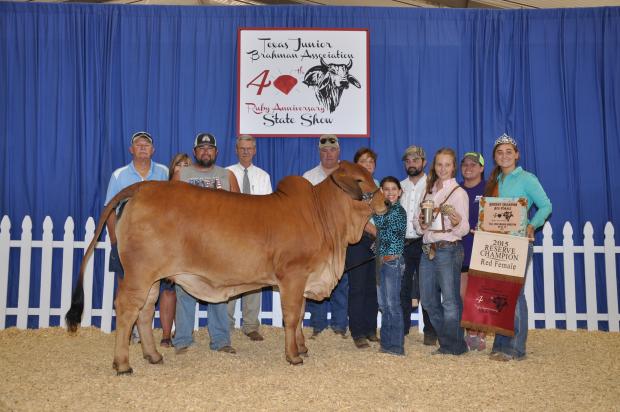 Daughter: VL Elena 4/28 2015 Reserve Champion TJBA 