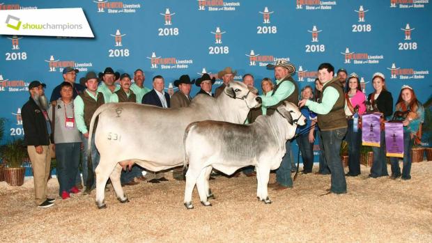 National and International Champion Full Sibling: Walters Rebel 531/C