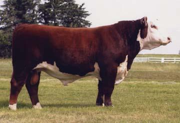 Maternal Grandsire Maternal Grandsire